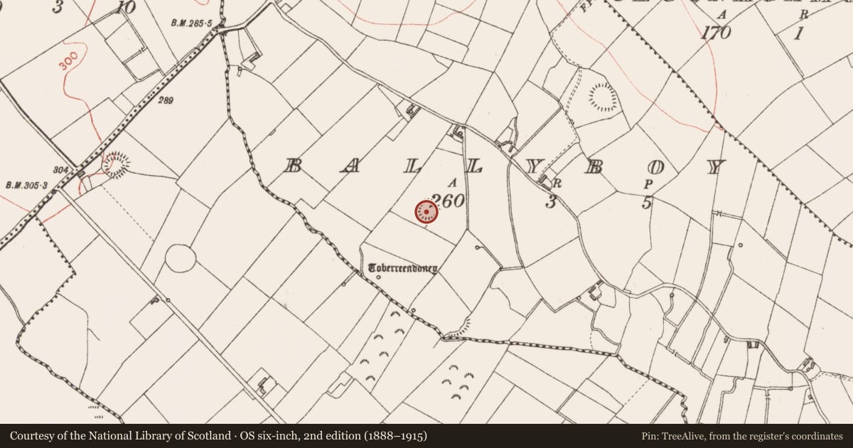 Ordnance Survey six-inch map, 2nd edition (1888–1915) covering the location of Ringfort - rath, Ballyboy, County Longford, with a pin at the register's coordinates