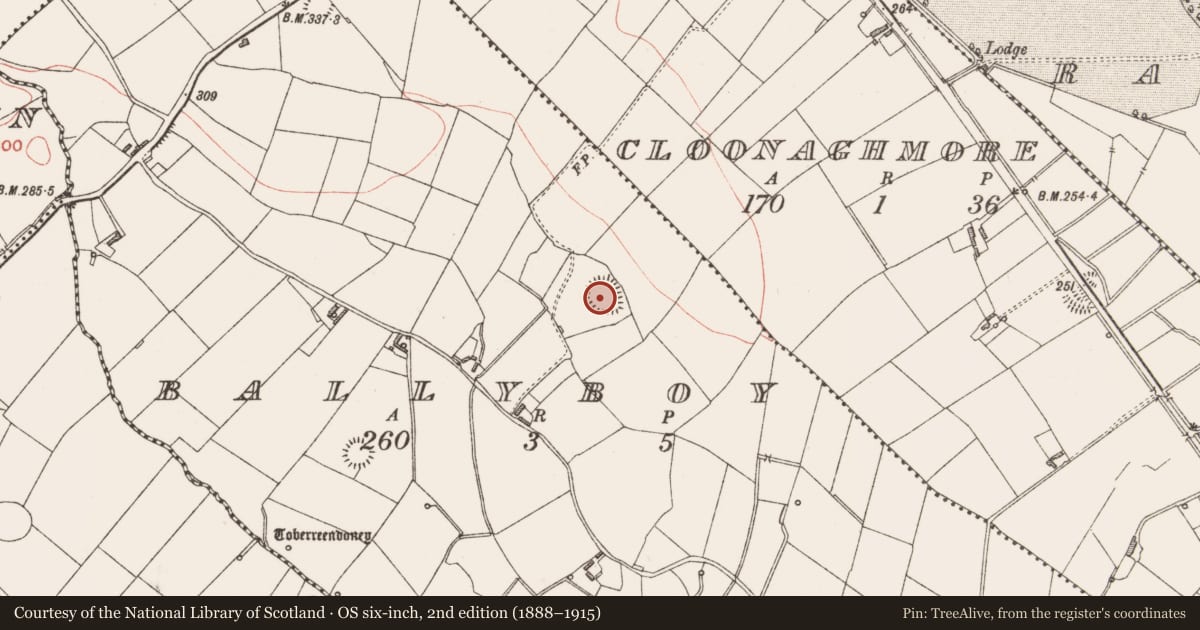 Ordnance Survey six-inch map, 2nd edition (1888–1915) covering the location of Ringfort - rath, Ballyboy, County Longford, with a pin at the register's coordinates