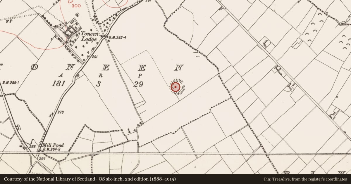 Ordnance Survey six-inch map, 2nd edition (1888–1915) covering the location of Ringfort - rath, Toneen, County Longford, with a pin at the register's coordinates