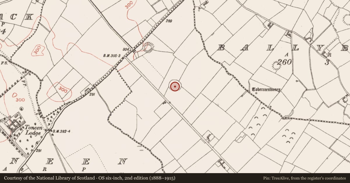 Ordnance Survey six-inch map, 2nd edition (1888–1915) covering the location of Ringfort - rath, Rincoolagh, County Longford, with a pin at the register's coordinates