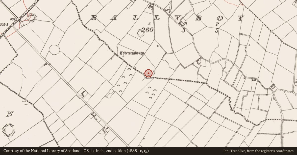Ordnance Survey six-inch map, 2nd edition (1888–1915) covering the location of Ringfort - rath, Ballyboy, County Longford, with a pin at the register's coordinates