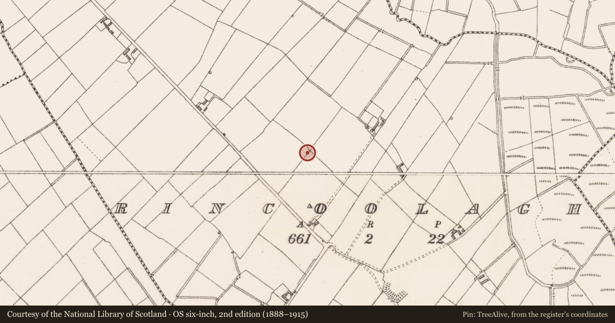 Ordnance Survey six-inch map, 2nd edition (1888–1915) covering the location of Ringfort - rath, Rincoolagh, County Longford, with a pin at the register's coordinates