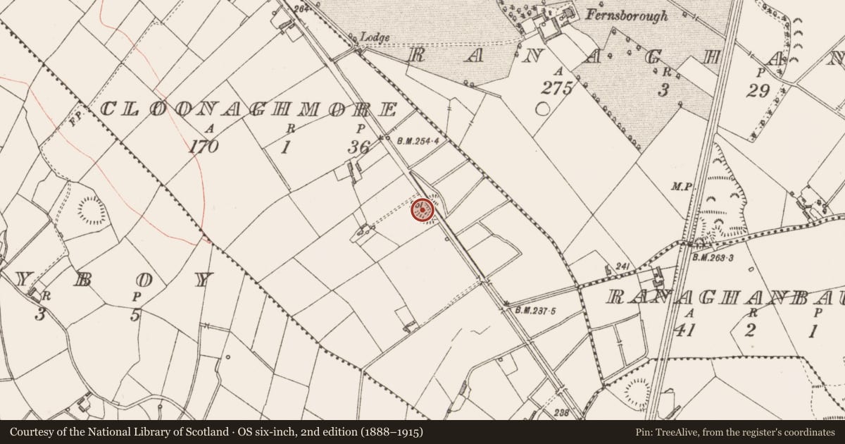 Ordnance Survey six-inch map, 2nd edition (1888–1915) covering the location of Ringfort - rath, Cloonaghmore, County Longford, with a pin at the register's coordinates
