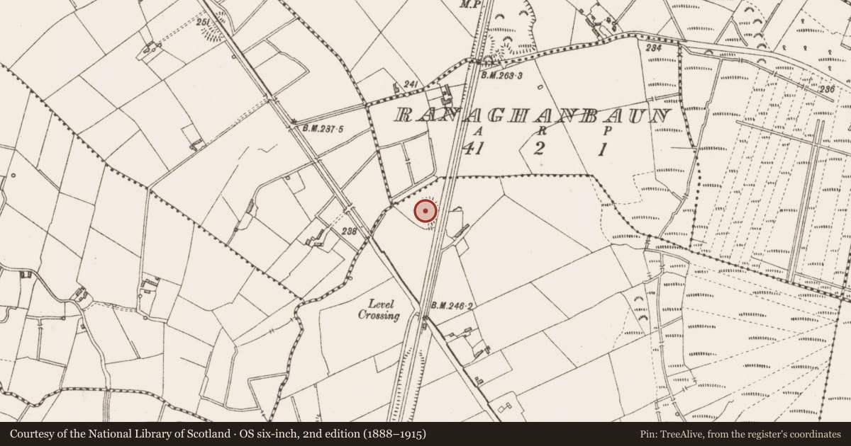 Ordnance Survey six-inch map, 2nd edition (1888–1915) covering the location of Ringfort - rath, Cooldoney, County Longford, with a pin at the register's coordinates