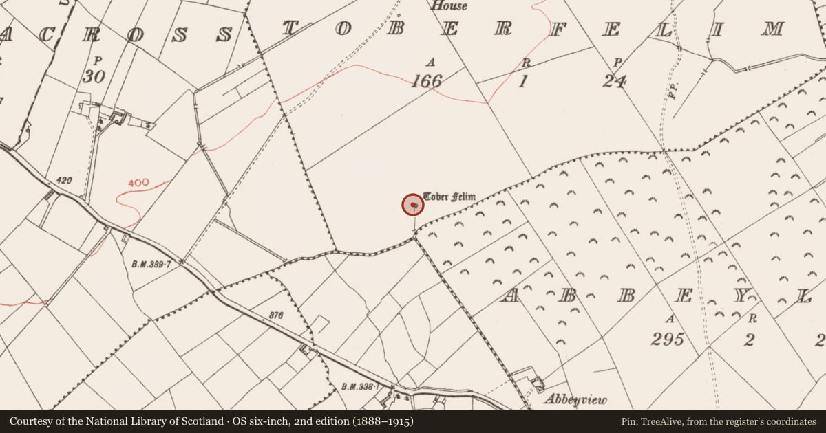 Ordnance Survey six-inch map, 2nd edition (1888–1915) covering the location of Ritual site - holy well, Toberfelim, County Longford, with a pin at the register's coordinates