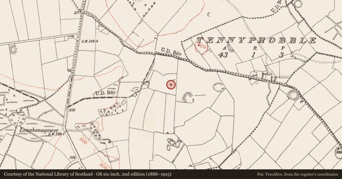 Ordnance Survey six-inch map, 2nd edition (1888–1915) covering the location of Enclosure, Ballymaurice, County Longford, with a pin at the register's coordinates