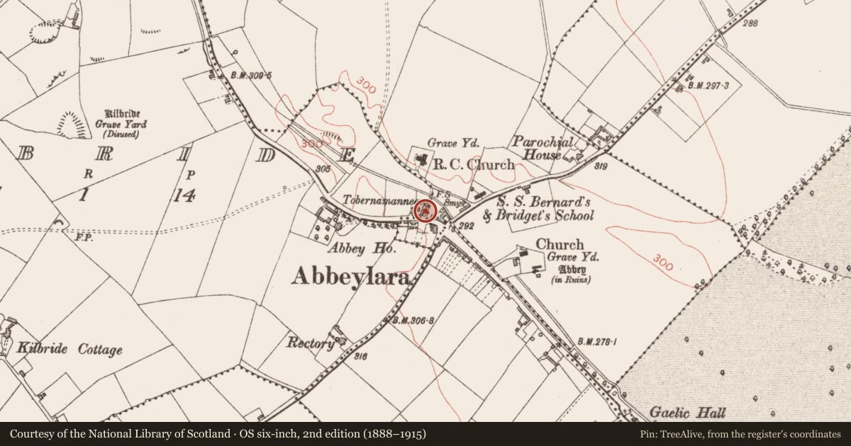 Ordnance Survey six-inch map, 2nd edition (1888–1915) covering the location of Ritual site - holy well, Abbeylara, County Longford, with a pin at the register's coordinates