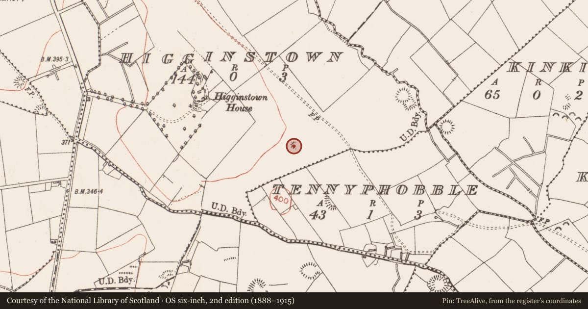 Ordnance Survey six-inch map, 2nd edition (1888–1915) covering the location of Ringfort - rath, Higginstown, County Longford, with a pin at the register's coordinates