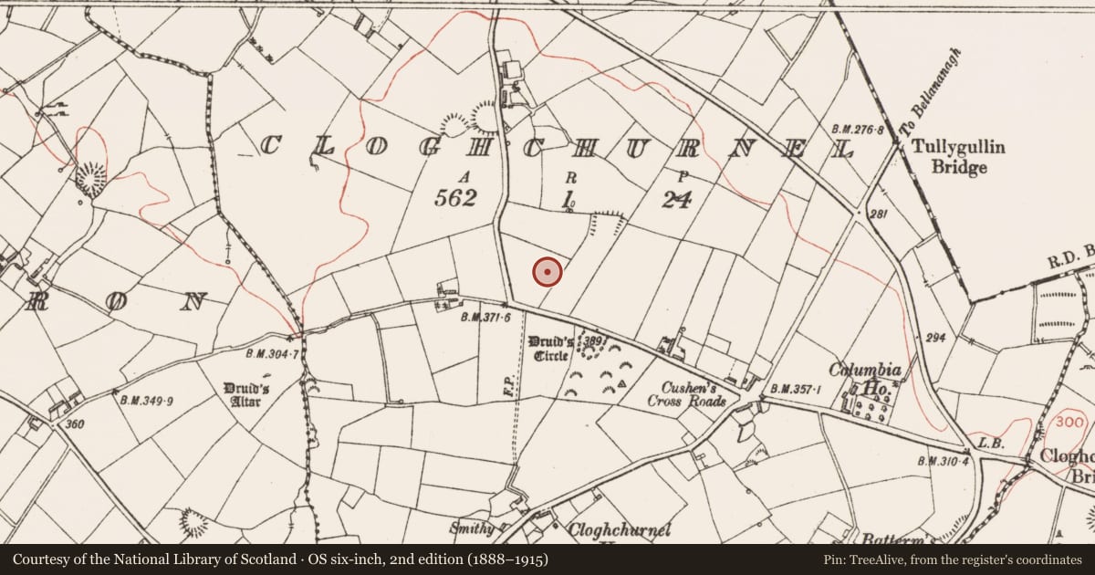 Ordnance Survey six-inch map, 2nd edition (1888–1915) covering the location of Standing stone, Cloghchurnel, County Longford, with a pin at the register's coordinates