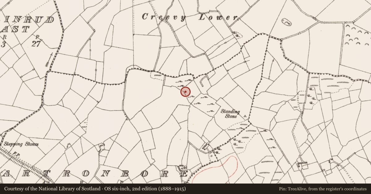Ordnance Survey six-inch map, 2nd edition (1888–1915) covering the location of Standing stone, Cartronbore, County Longford, with a pin at the register's coordinates