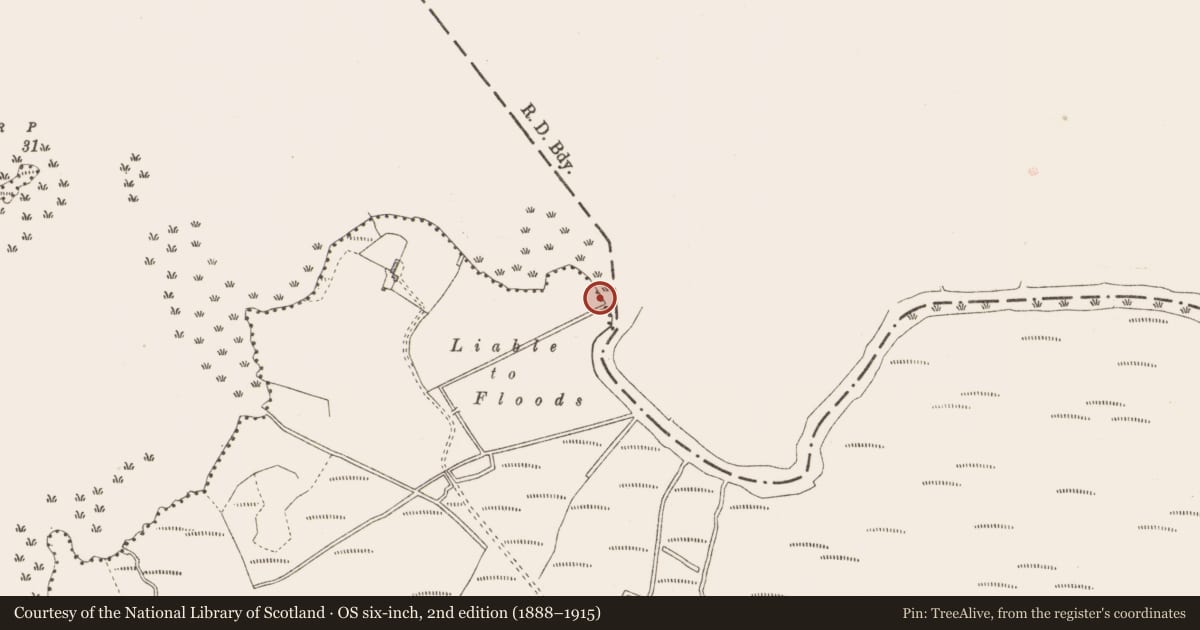Ordnance Survey six-inch map, 2nd edition (1888–1915) covering the location of Prehistoric site - lithic scatter, Derragh, County Longford, with a pin at the register's coordinates