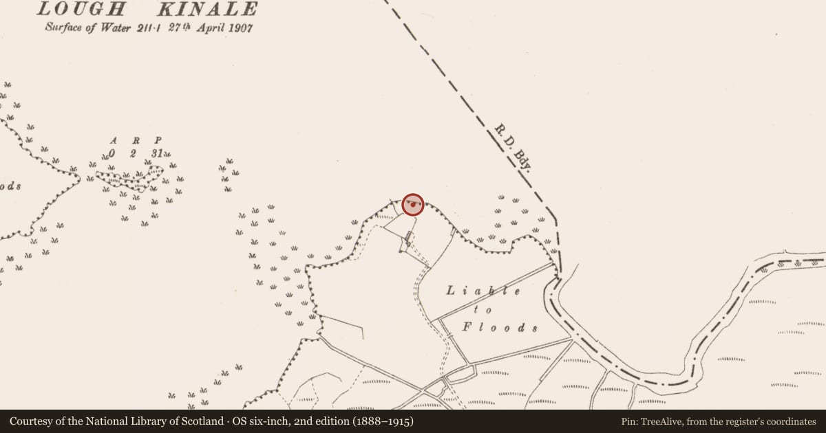 Ordnance Survey six-inch map, 2nd edition (1888–1915) covering the location of Prehistoric site - lithic scatter, Derragh, County Longford, with a pin at the register's coordinates