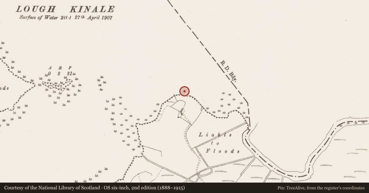 Ordnance Survey six-inch map, 2nd edition (1888–1915) covering the location of Crannog, Lough Kinale, County Longford, with a pin at the register's coordinates
