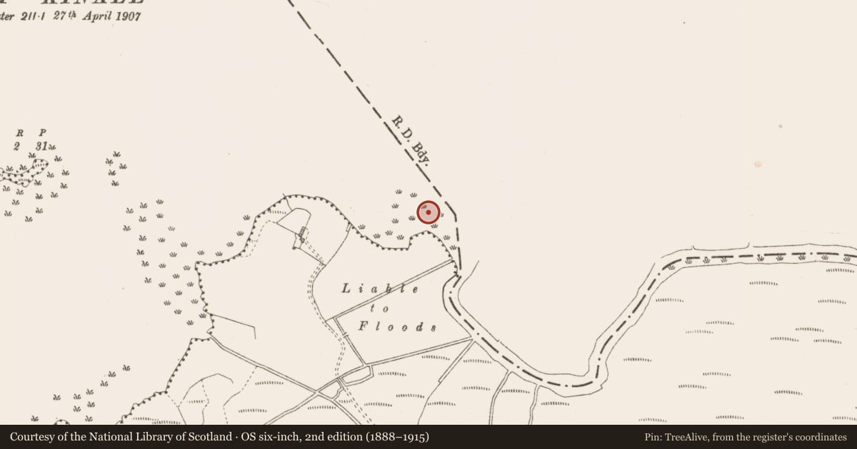 Ordnance Survey six-inch map, 2nd edition (1888–1915) covering the location of Settlement platform, Lough Kinale, County Longford, with a pin at the register's coordinates