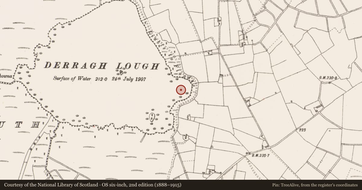 Ordnance Survey six-inch map, 2nd edition (1888–1915) covering the location of Crannog, Derragh Lough, County Longford, with a pin at the register's coordinates