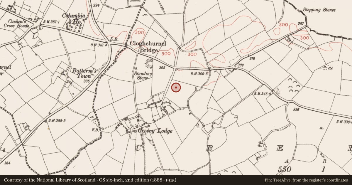 Ordnance Survey six-inch map, 2nd edition (1888–1915) covering the location of Standing stone, Creevy, County Longford, with a pin at the register's coordinates