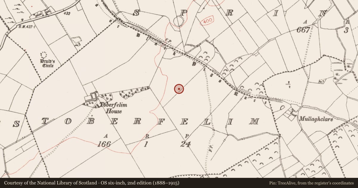 Ordnance Survey six-inch map, 2nd edition (1888–1915) covering the location of Standing stone, Toberfelim, County Longford, with a pin at the register's coordinates