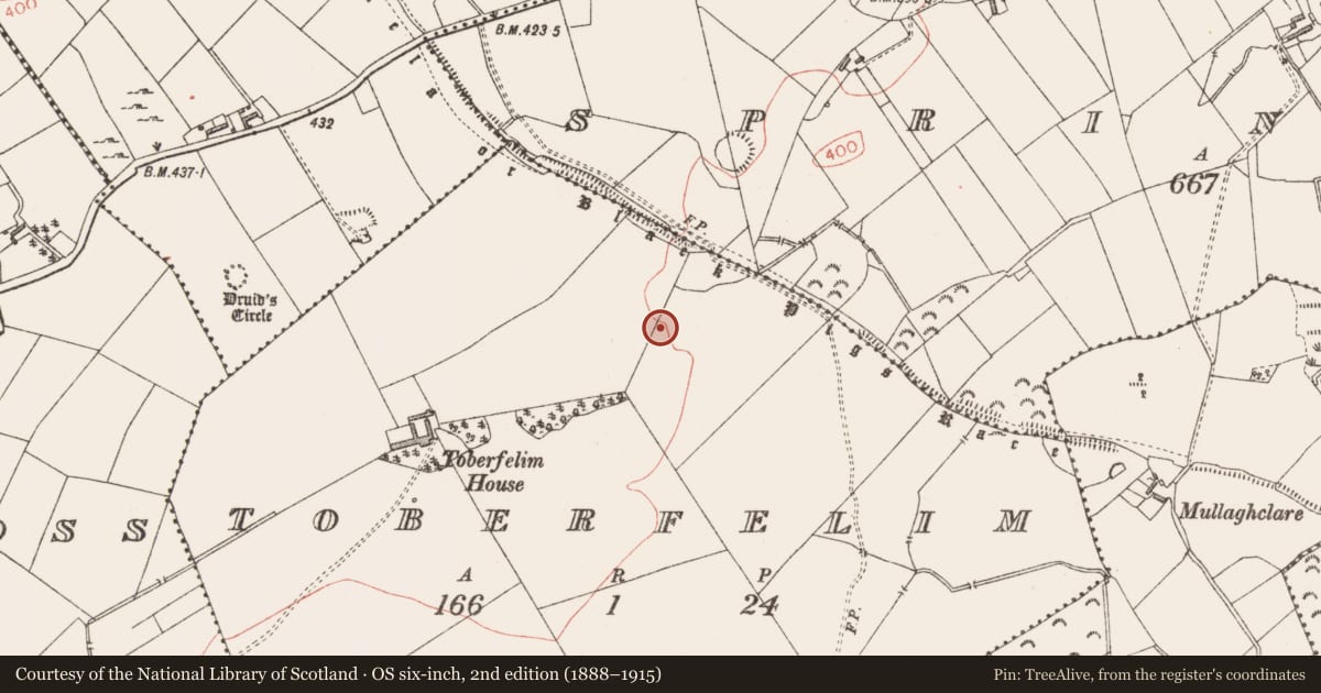 Ordnance Survey six-inch map, 2nd edition (1888–1915) covering the location of Hut site, Toberfelim, County Longford, with a pin at the register's coordinates