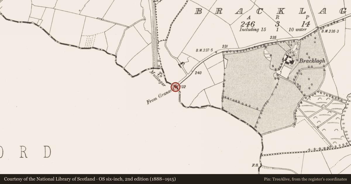Ordnance Survey six-inch map, 2nd edition (1888–1915) covering the location of Ford, Ballywillin, County Longford, with a pin at the register's coordinates