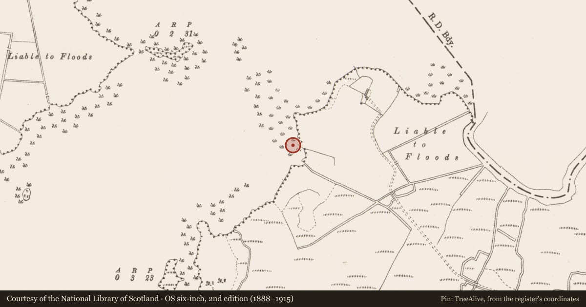 Ordnance Survey six-inch map, 2nd edition (1888–1915) covering the location of Crannog, Lough Kinale, County Longford, with a pin at the register's coordinates
