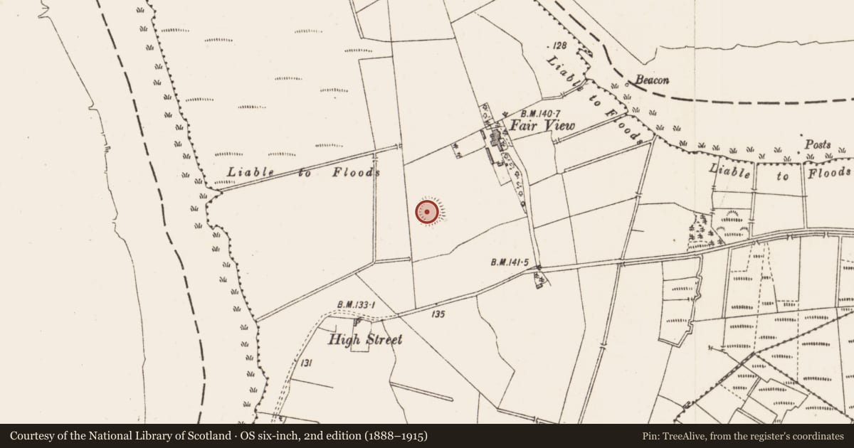 Ordnance Survey six-inch map, 2nd edition (1888–1915) covering the location of Ringfort - rath, Knappoge, County Longford, with a pin at the register's coordinates