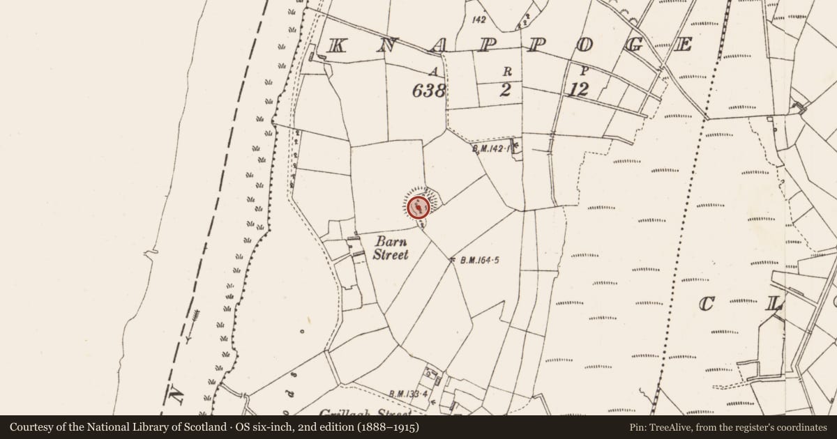 Ordnance Survey six-inch map, 2nd edition (1888–1915) covering the location of Ringfort - rath, Knappoge, County Longford, with a pin at the register's coordinates