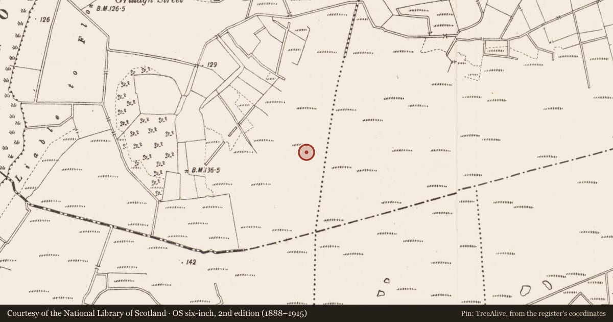 Ordnance Survey six-inch map, 2nd edition (1888–1915) covering the location of Road - gravel/stone trackway - peatland, Knappoge, County Longford, with a pin at the register's coordinates