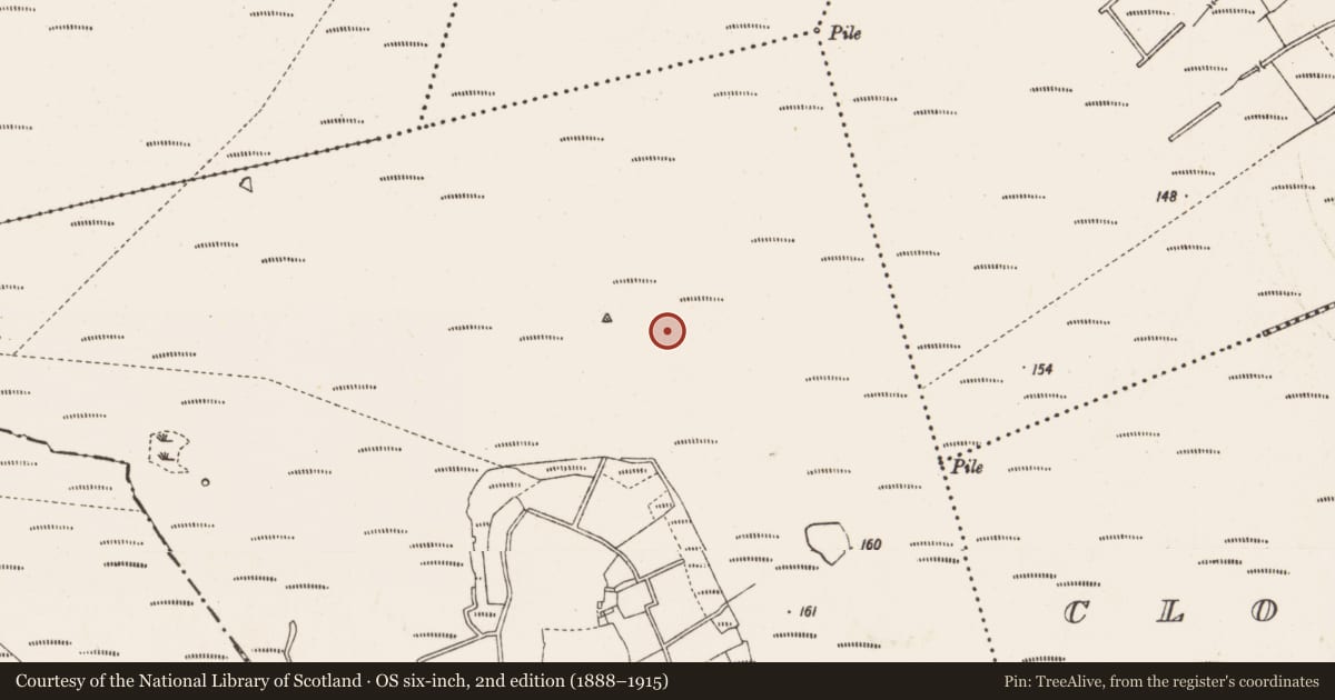 Ordnance Survey six-inch map, 2nd edition (1888–1915) covering the location of Road - class 3 togher, Derryaroge, County Longford, with a pin at the register's coordinates
