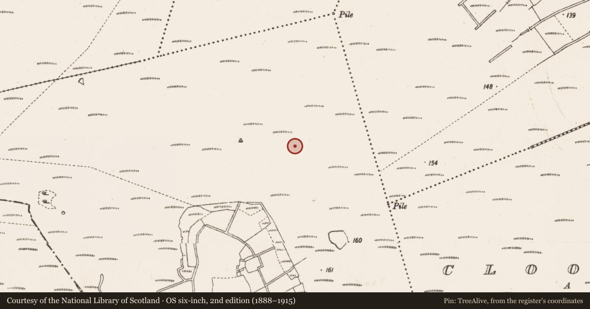 Ordnance Survey six-inch map, 2nd edition (1888–1915) covering the location of Road - class 3 togher, Derryaroge, County Longford, with a pin at the register's coordinates