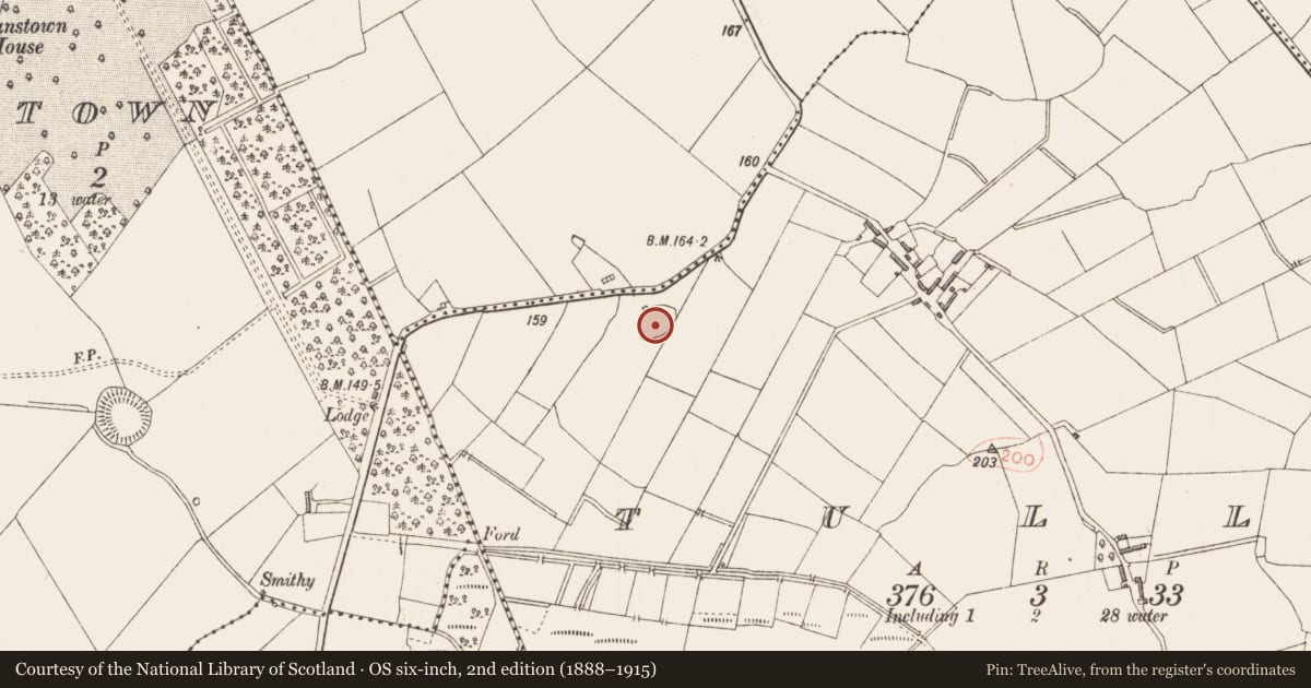 Ordnance Survey six-inch map, 2nd edition (1888–1915) covering the location of Enclosure, Tully, County Longford, with a pin at the register's coordinates