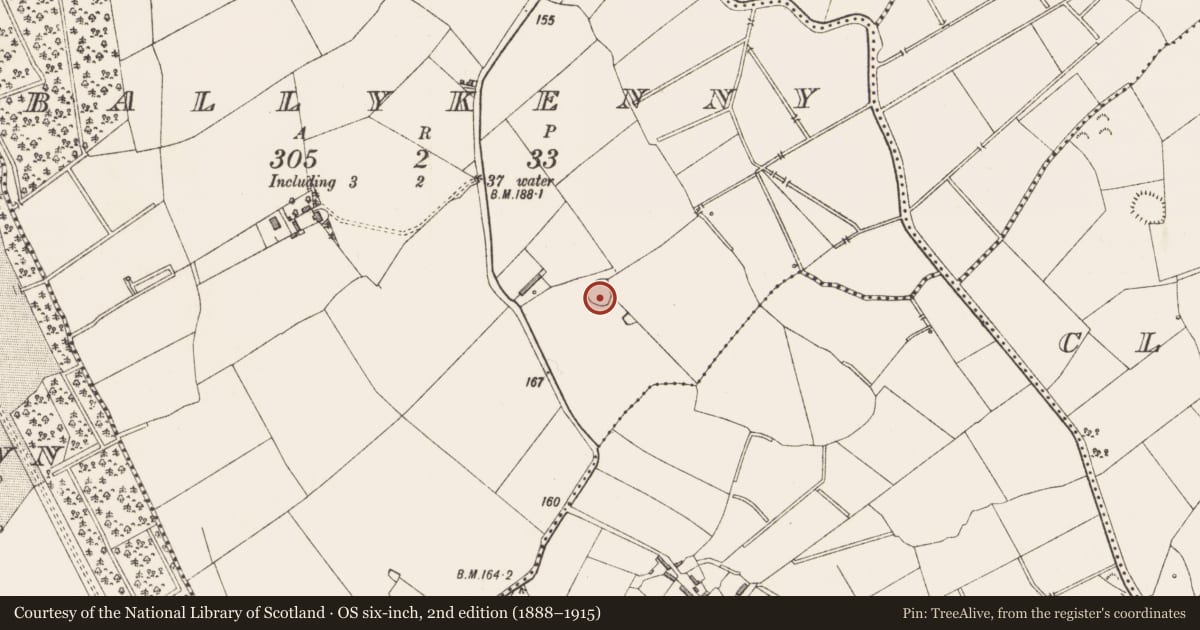 Ordnance Survey six-inch map, 2nd edition (1888–1915) covering the location of Ringfort - rath, Ballykenny, County Longford, with a pin at the register's coordinates