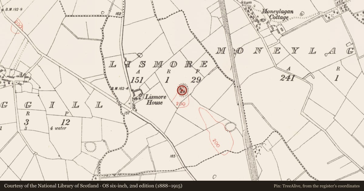 Ordnance Survey six-inch map, 2nd edition (1888–1915) covering the location of Ringfort - rath, Lismore, County Longford, with a pin at the register's coordinates