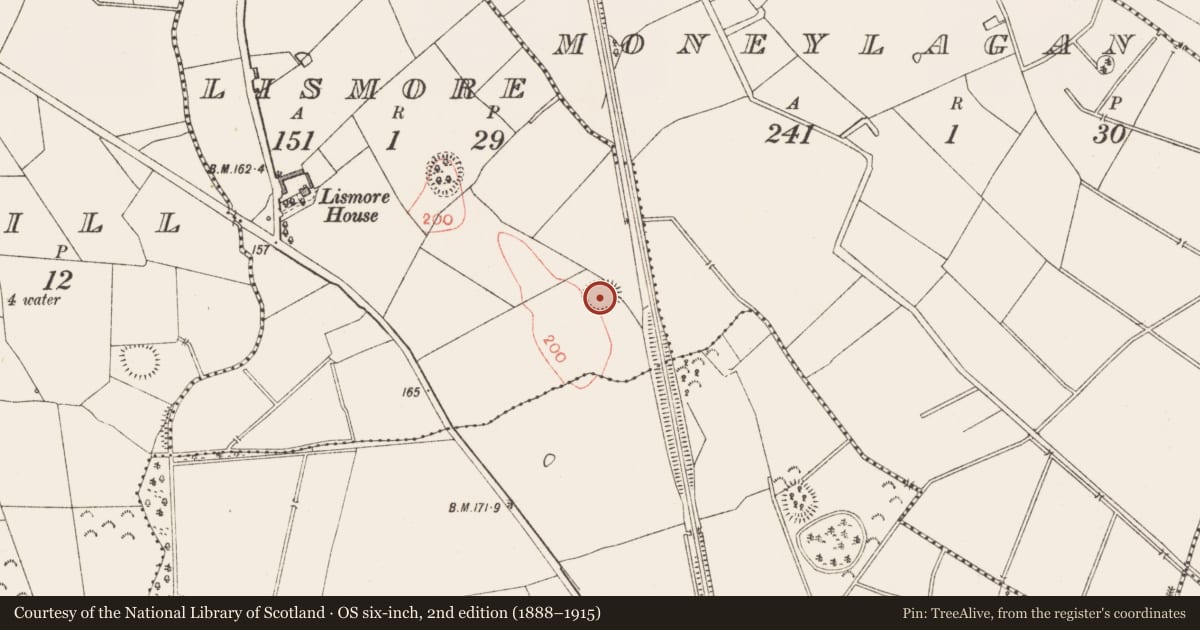 Ordnance Survey six-inch map, 2nd edition (1888–1915) covering the location of Ringfort - rath, Lismore, County Longford, with a pin at the register's coordinates