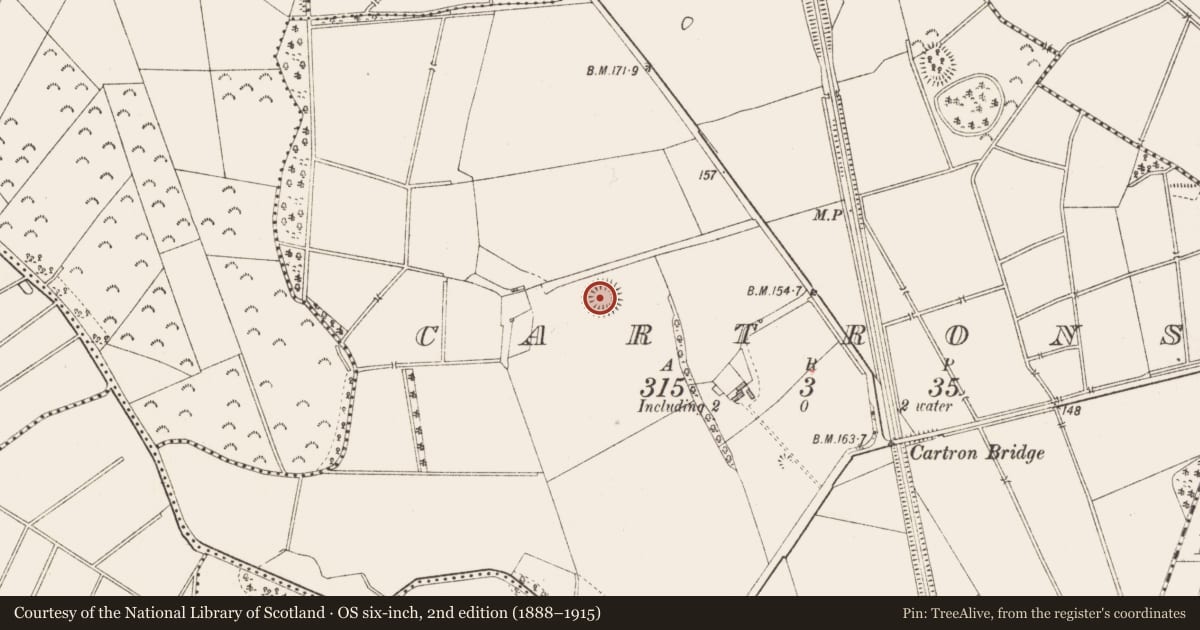 Ordnance Survey six-inch map, 2nd edition (1888–1915) covering the location of Ringfort - rath, Cartrons, County Longford, with a pin at the register's coordinates
