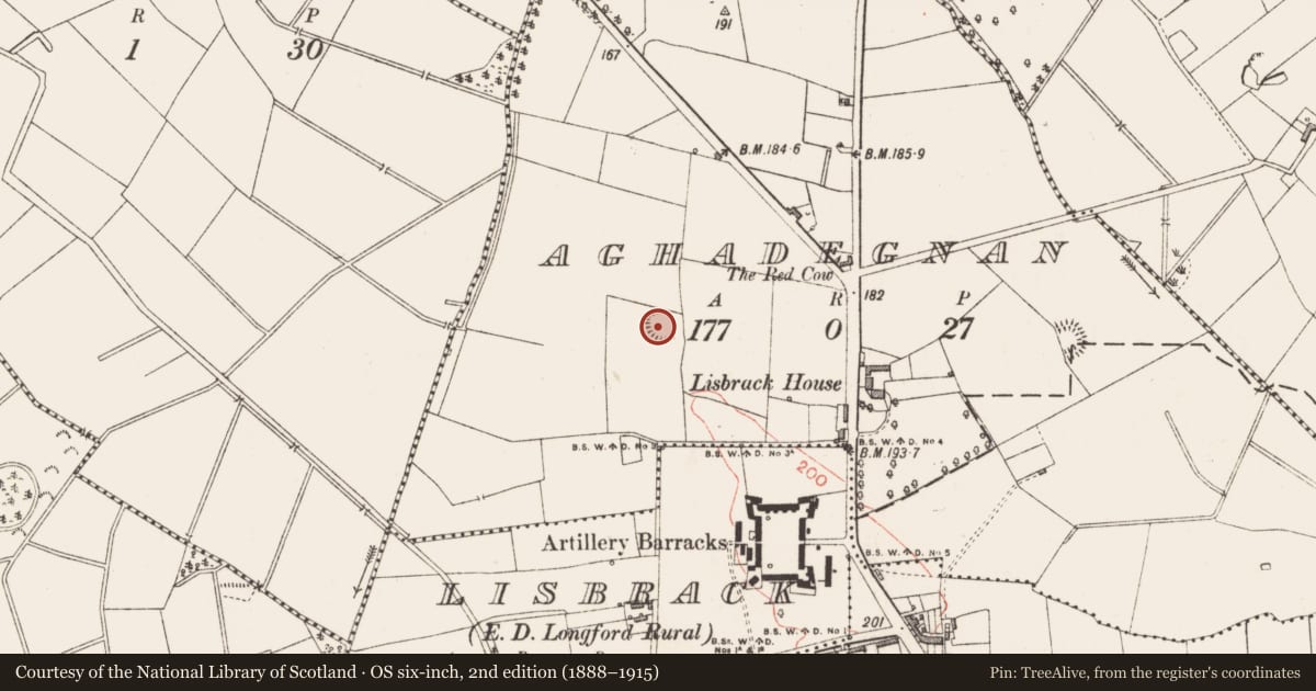 Ordnance Survey six-inch map, 2nd edition (1888–1915) covering the location of Ringfort - rath, Aghadegnan, County Longford, with a pin at the register's coordinates