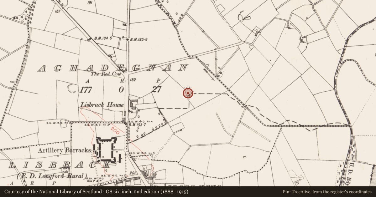 Ordnance Survey six-inch map, 2nd edition (1888–1915) covering the location of Ringfort - rath, Aghadegnan, County Longford, with a pin at the register's coordinates
