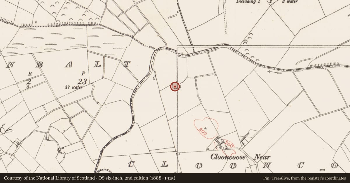 Ordnance Survey six-inch map, 2nd edition (1888–1915) covering the location of Ringfort - rath, Clooncoose, County Longford, with a pin at the register's coordinates