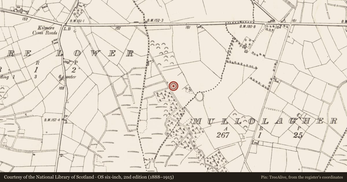 Ordnance Survey six-inch map, 2nd edition (1888–1915) covering the location of Ringfort - rath, Cartronlebagh, County Longford, with a pin at the register's coordinates