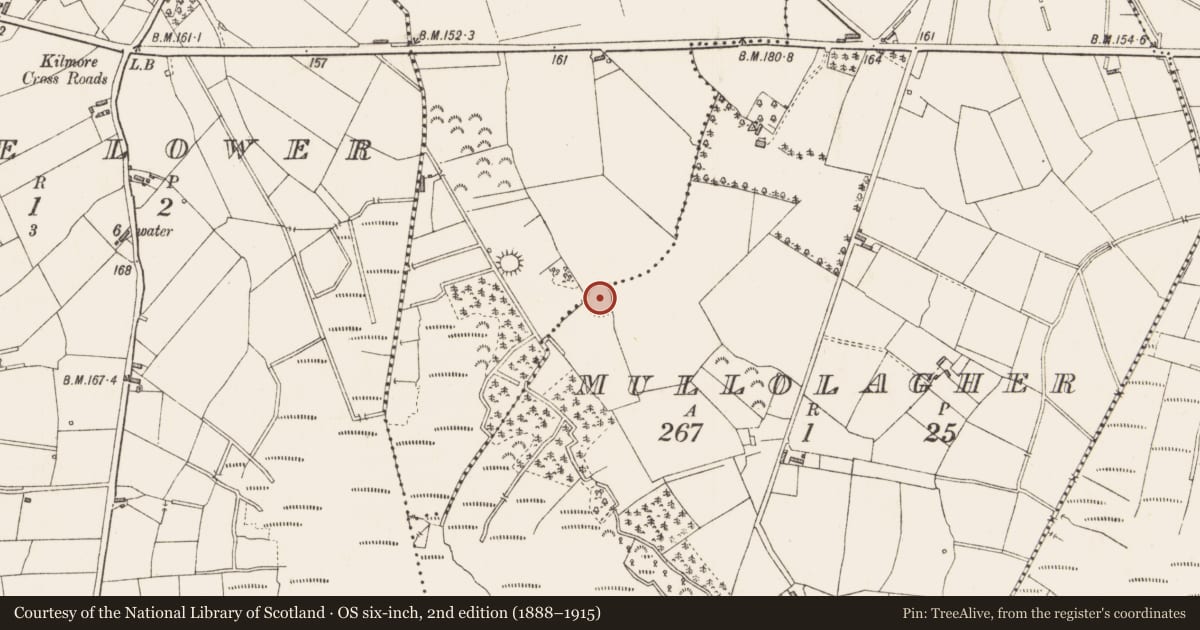 Ordnance Survey six-inch map, 2nd edition (1888–1915) covering the location of Ringfort - rath, Mullolagher, Cartronlebagh, County Longford, with a pin at the register's coordinates