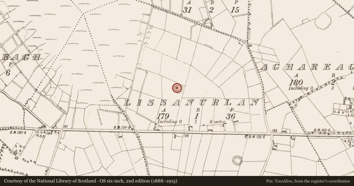 Ordnance Survey six-inch map, 2nd edition (1888–1915) covering the location of Ringfort - rath, Lissanurlan, County Longford, with a pin at the register's coordinates