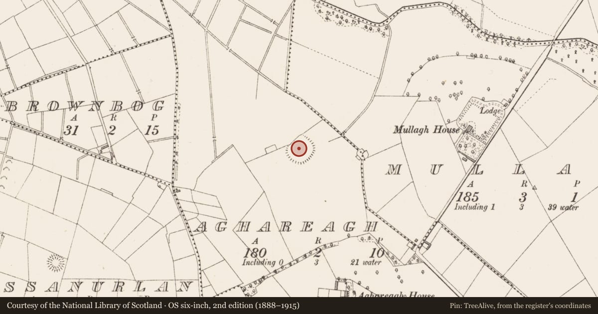 Ordnance Survey six-inch map, 2nd edition (1888–1915) covering the location of Ringfort - rath, Aghareagh, County Longford, with a pin at the register's coordinates