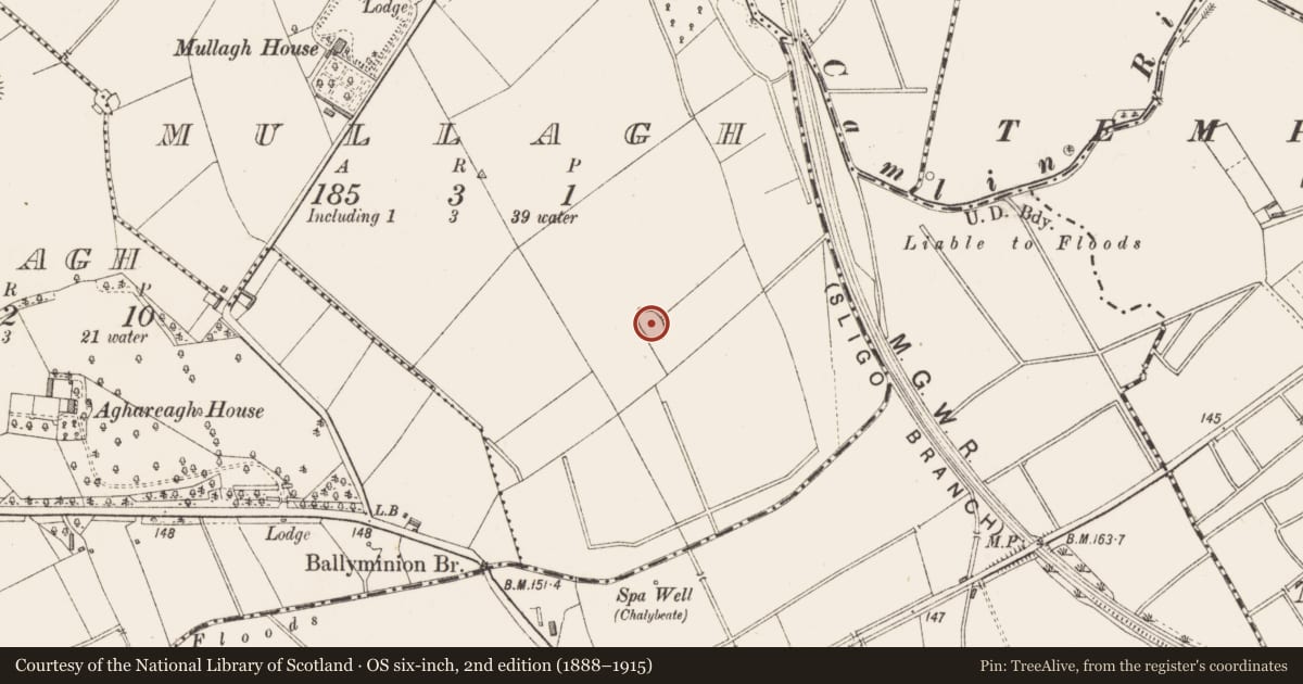 Ordnance Survey six-inch map, 2nd edition (1888–1915) covering the location of Enclosure, Mullagh, County Longford, with a pin at the register's coordinates
