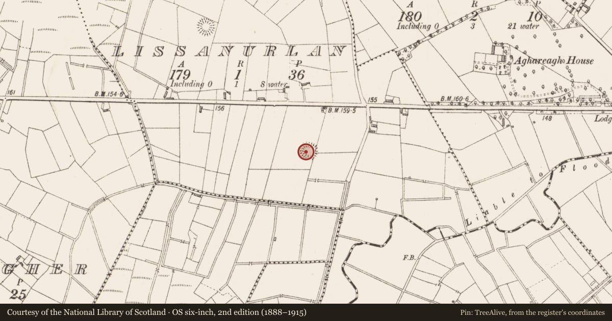 Ordnance Survey six-inch map, 2nd edition (1888–1915) covering the location of Ringfort - rath, Lissanurlan, County Longford, with a pin at the register's coordinates