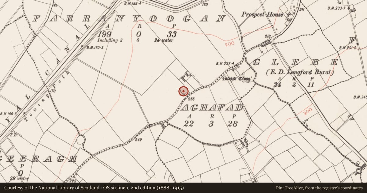 Ordnance Survey six-inch map, 2nd edition (1888–1915) covering the location of Ringfort - rath, Farranyoogan, County Longford, with a pin at the register's coordinates