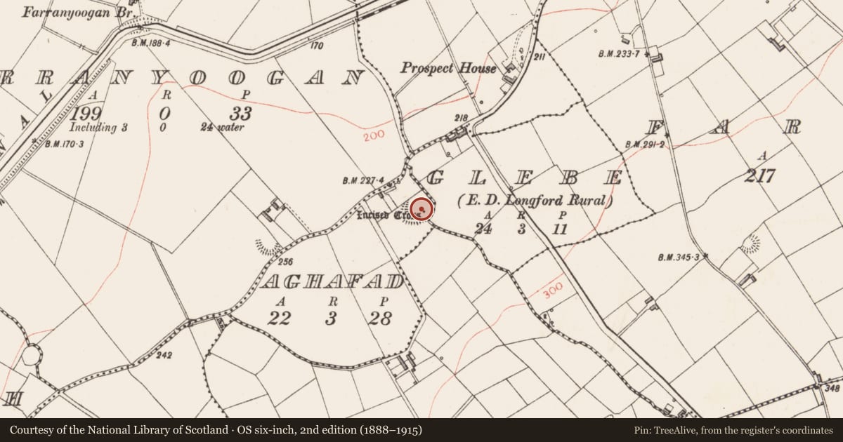 Ordnance Survey six-inch map, 2nd edition (1888–1915) covering the location of Cross-inscribed pillar, Aghafad, County Longford, with a pin at the register's coordinates