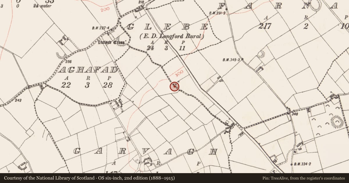 Ordnance Survey six-inch map, 2nd edition (1888–1915) covering the location of Ringfort - rath, Farnagh, Garvagh, County Longford, with a pin at the register's coordinates