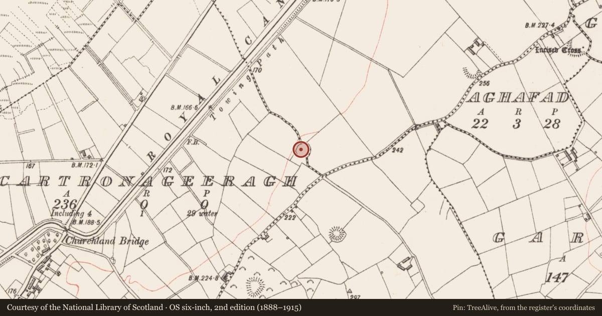 Ordnance Survey six-inch map, 2nd edition (1888–1915) covering the location of Ringfort - rath, Cartronageeragh, County Longford, with a pin at the register's coordinates
