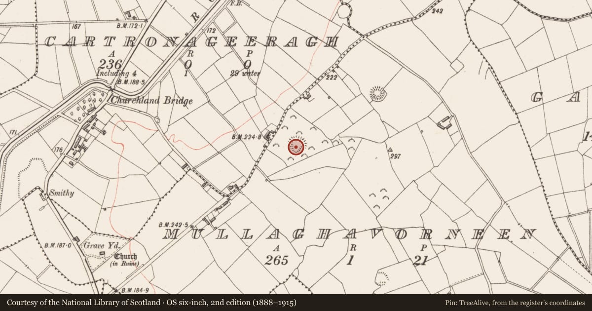 Ordnance Survey six-inch map, 2nd edition (1888–1915) covering the location of Ringfort - rath, Mullaghavorneen, County Longford, with a pin at the register's coordinates