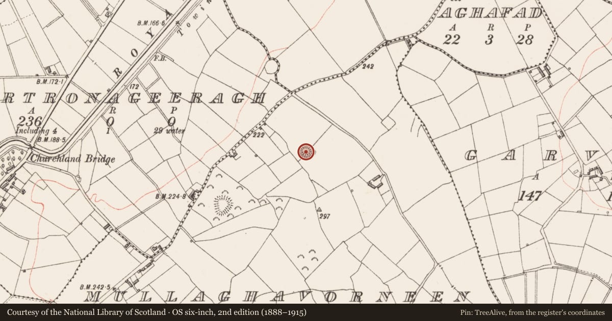 Ordnance Survey six-inch map, 2nd edition (1888–1915) covering the location of Ringfort - rath, Mullaghavorneen, County Longford, with a pin at the register's coordinates