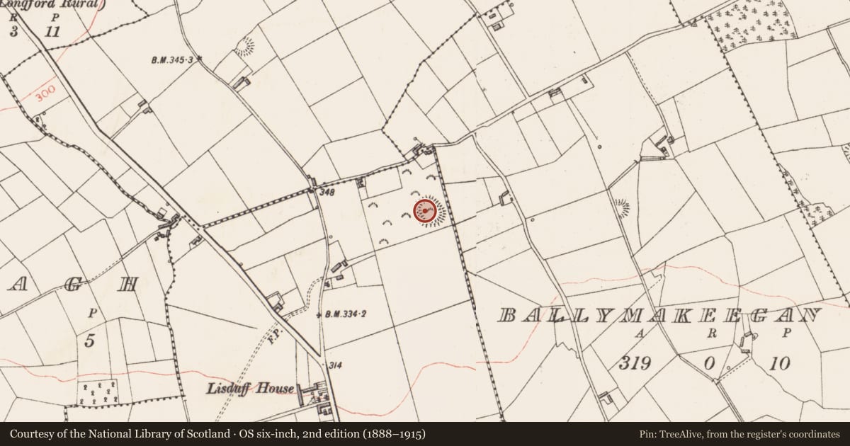 Ordnance Survey six-inch map, 2nd edition (1888–1915) covering the location of Ringfort - rath, Lisduff, County Longford, with a pin at the register's coordinates